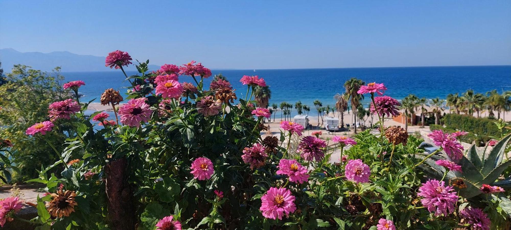 Apartment Tinka In Saranda 외부 사진